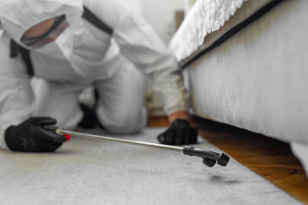 Professional Cockroach Control technician working in St. Hedwig, TX